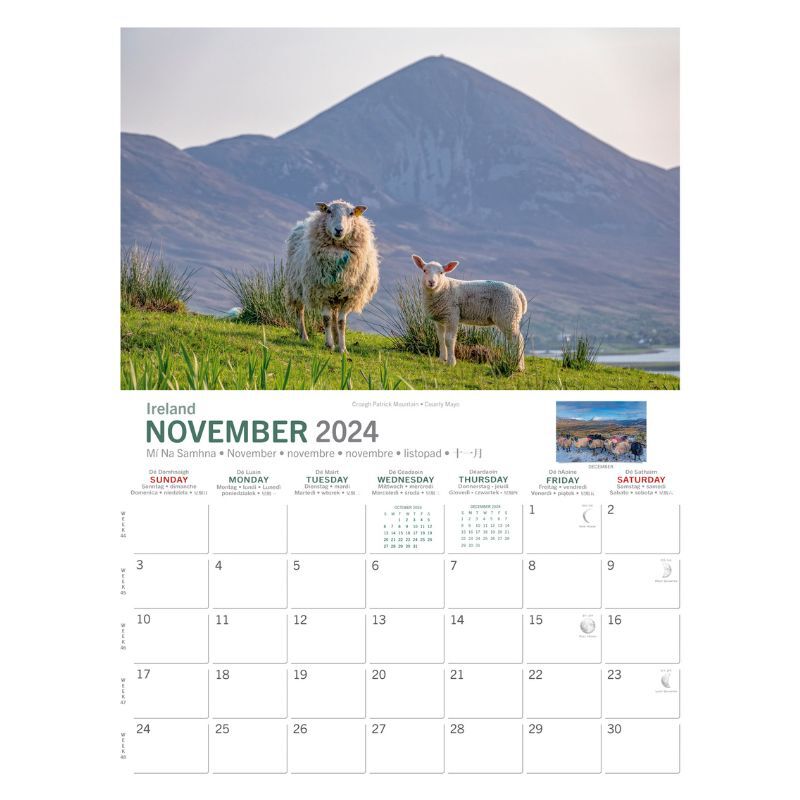 A4 Irish Sheep 2024 Calendar by Liam Blake